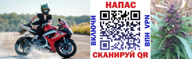 Где можно купить наркотики Новоалександровск ГЕРОИН  Cocaine  Альфа ПВП  Псилоцибиновые грибы  Гашиш  Меф мяу мяу  АМФ 